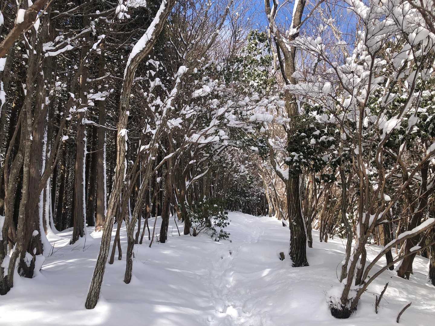 最高の尾根歩き
