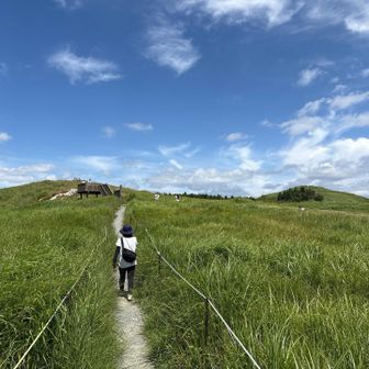 展望台が見えたので行ってみる🚶🏻