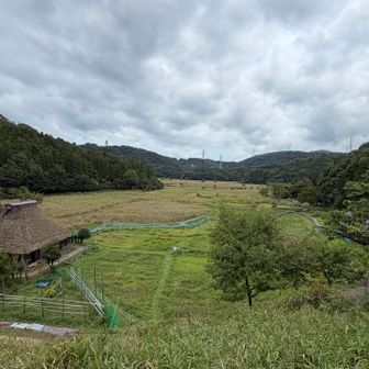 今朝の中池見湿地　静か〜🎶