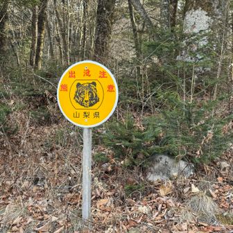 気を取り直して