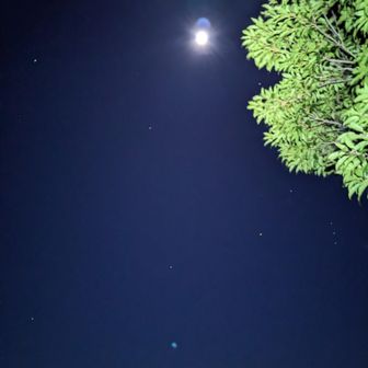 満月ではありませんが、月と星がキレイに見えました👍