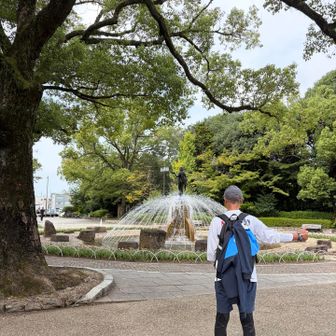 きれな公園です