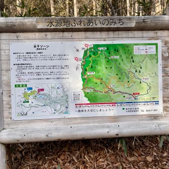 水源地ふれあいの道、水干ゾーン大切です。