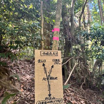向江山から降りてきてこの分岐から日置山に向かいます