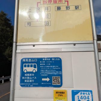 今日から秋の登山バス実証ですが、高いから歩きます