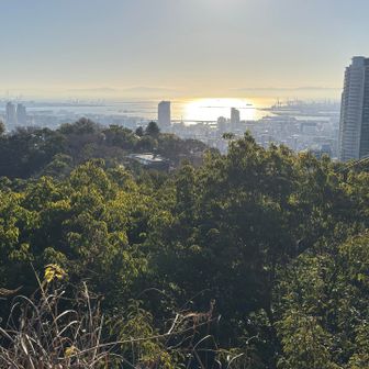 海が光っている。