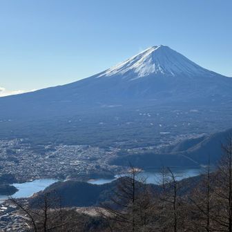 感激して同じような写真を何枚も撮ってしまう😅