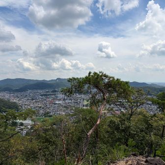 岩の上から