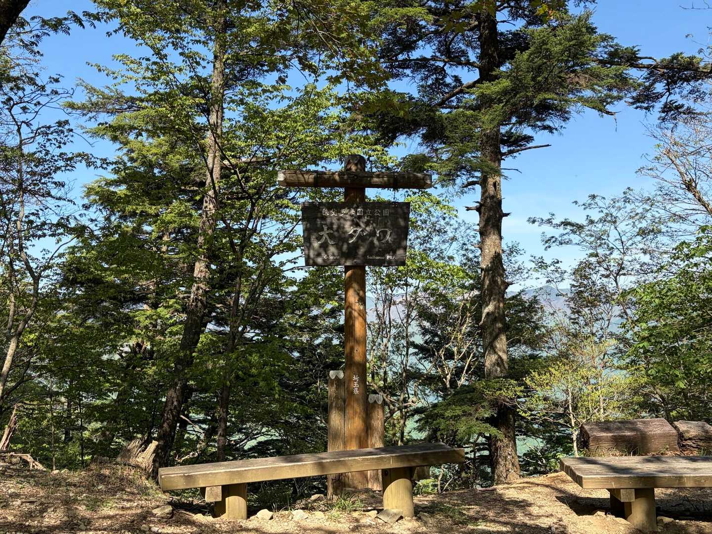雲取山往復 | 関東屈指のパワースポット三峯神社から目指す東京最高峰の写真