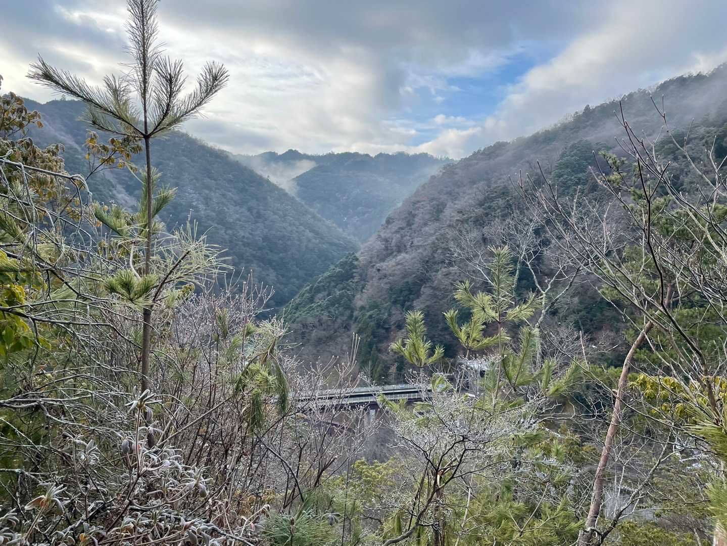 荒神峠-愛宕山-清滝バス停 縦走コースの写真
