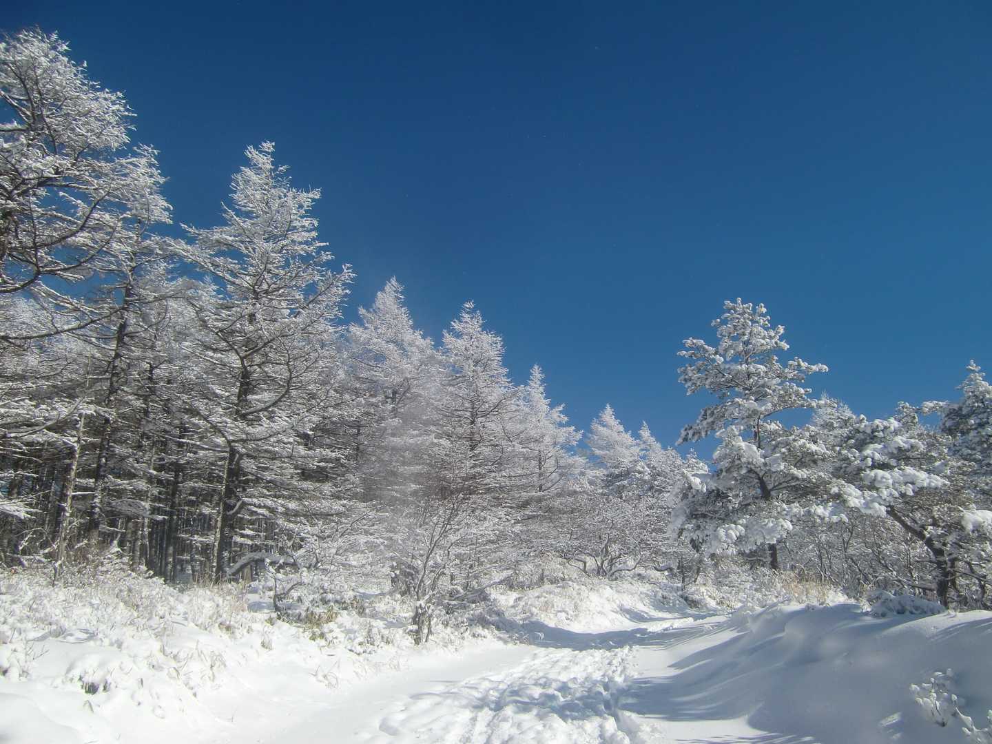 雪山ですね～～