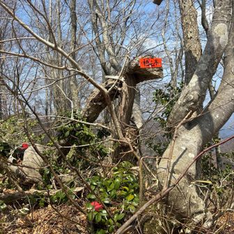 帰りも一つゲット