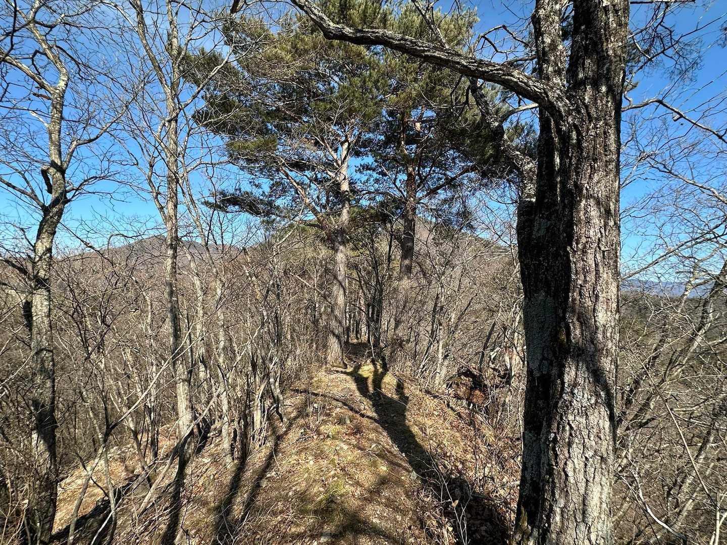 太刀岡山-越道峠-小川入口 周回コースの写真