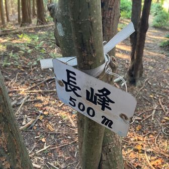 ここから