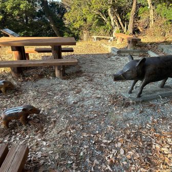 いつものウリ坊