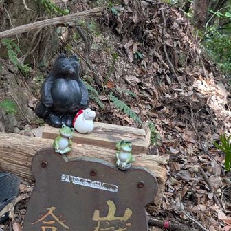 日地登山口に下山