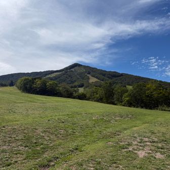 本日はまったり登山を楽しませてもらいました🤗