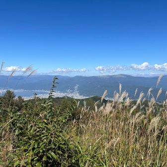 霧ヶ峰とススキと諏訪湖