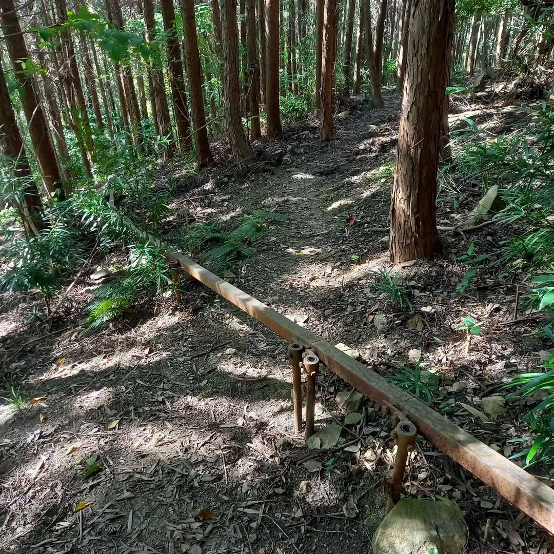 モノレールを跨ぎます