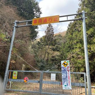 林道の入り口は柵があります