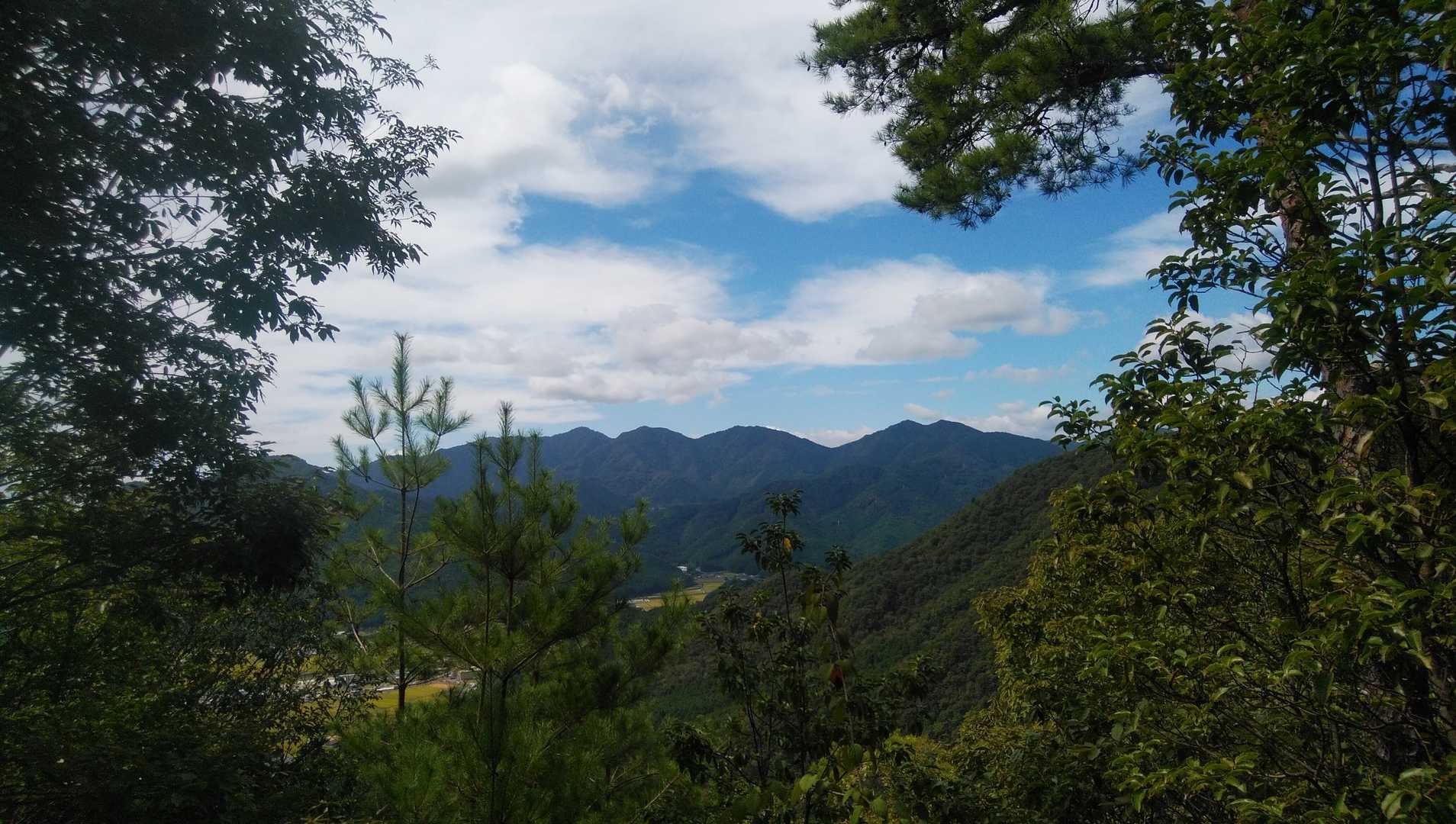 東山登山口-妙見山 往復コースの写真