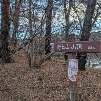 近いのもあるけれど、85mと刻む