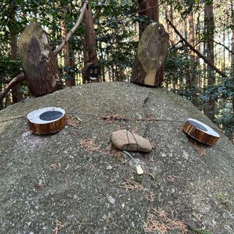 鼻の下に何かいるよ！