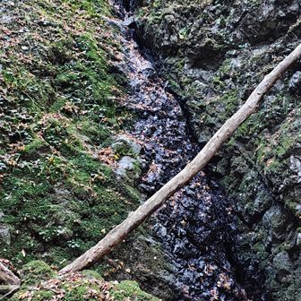 不動の滝、チョロチョロです。昔はここで滝行されてたんでしょうね