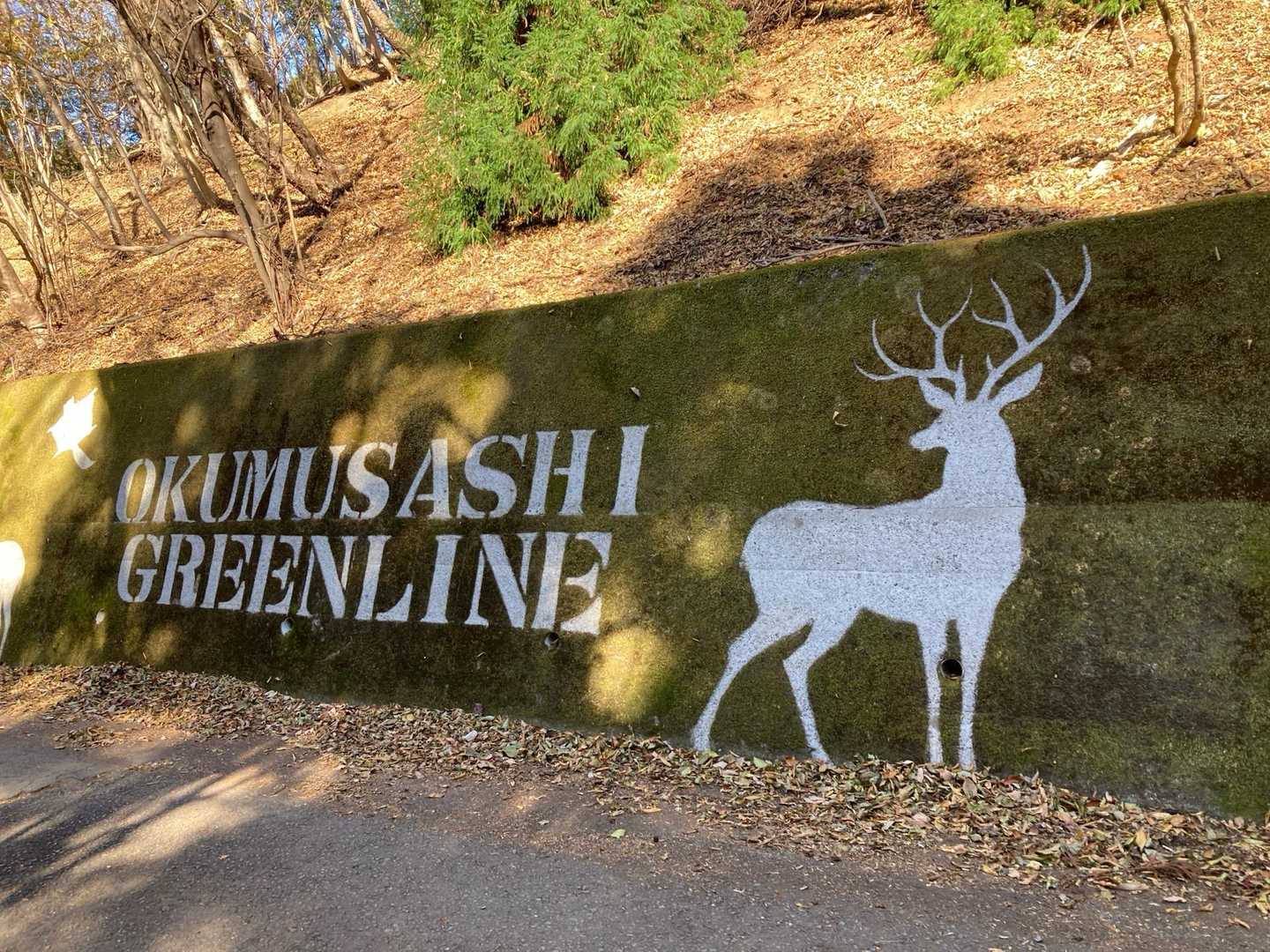 奥武蔵グリーンライン
鎌北湖から定峰峠に至る林道です