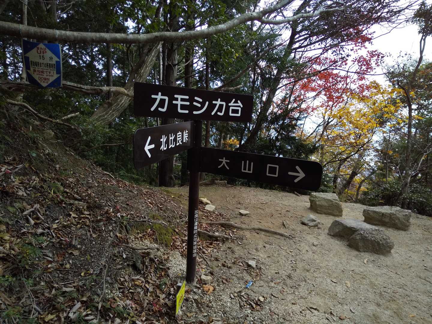 だいぶ下りてきました。今日はリミッター解除は封印でしたが、ほんまにいい感じに着いてきてもらえました。