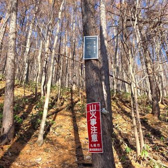 今日は１合目から登り返し（ここからバテバテ💦）