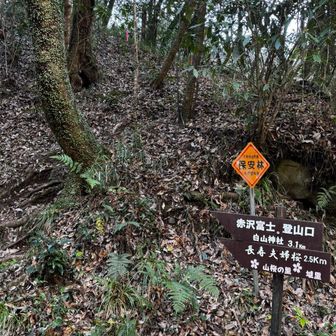 一旦舗装路に降り、