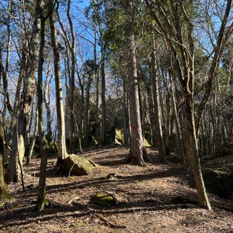 大きな石、あそこが山頂みたい