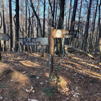 こういう山頂も時々あります。