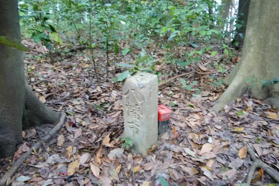 茶臼山（福岡県北九州市八幡東区）の写真