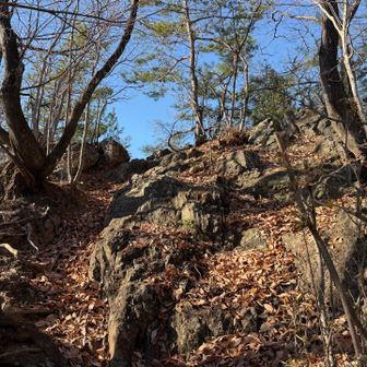 それでは登山道へ
ここからは岩と落ち葉のコラボレーション