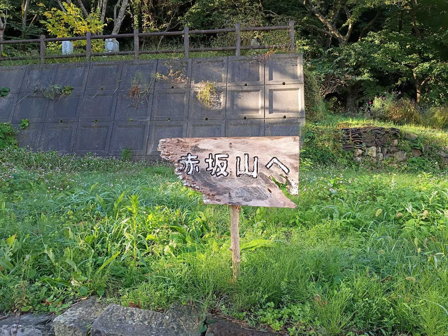 アケボノシュスランを見てみたいなぁと思い赤坂山にきました