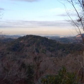 あまり綺麗に見えない🥹