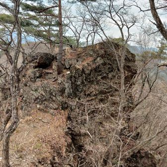 蛙に見えますかね？