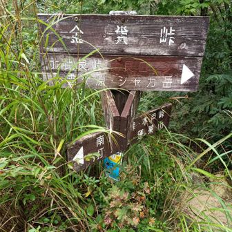 金糞峠