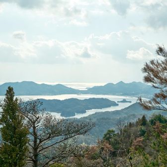 中央の島🏝️は　鵜島
その右に見える小さな島は
村上海賊の拠点の１つ　能島です