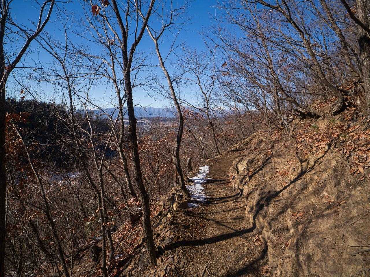 大音寺山登山口-大音寺山-御殿山-御殿山登山口 周回コースの写真