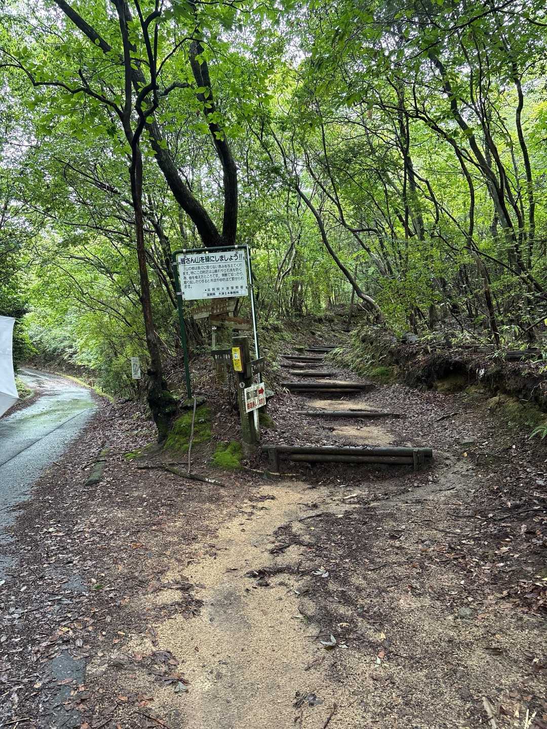 ここから山道