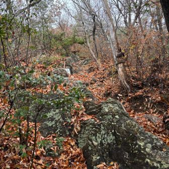 こんなルート好き❤️
低山でも嬉しい