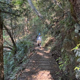 遊歩道までは普通の登山道です