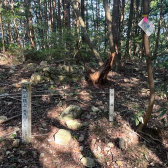 鉢伏山山頂