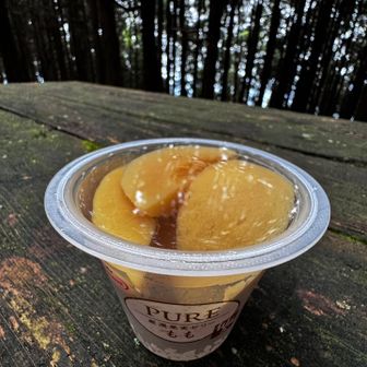 あと少しで竜爪山（文珠岳）だけれど、階段続きで疲れたのでももゼリー🍑