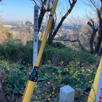 衣笠山。三角点は手前のかしらん。