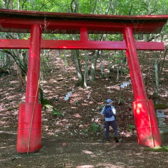 暫くして赤い鳥居が現れました