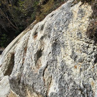 テントサイト横のここが登山道。わからなかった